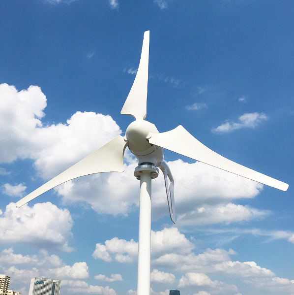 Smaraad SC 600W 800W 1000W Wind turbine Renewable Energy Generators Wi